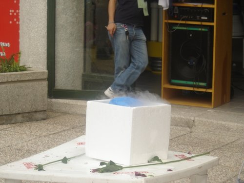 DSC07790.JPG