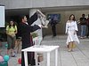 DSC07773.JPG