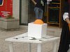 DSC07787.JPG